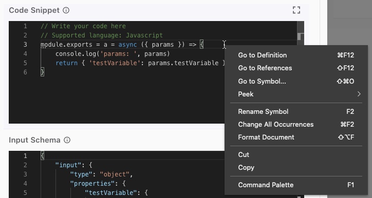 A screenshot of the Code Snippet field.