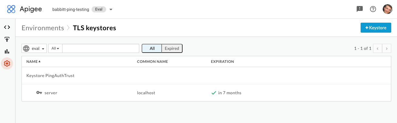 This screen capture shows a configured TLS keystore certificate.