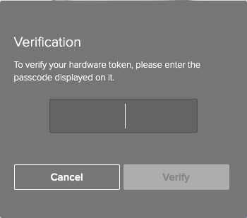 A screen capture of the Verification window.