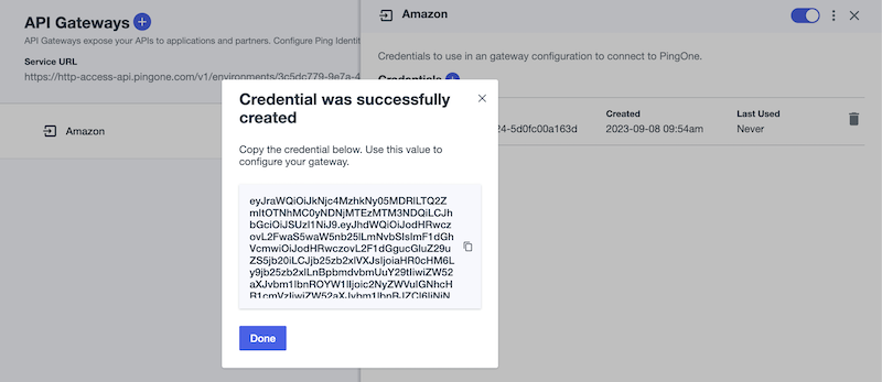 Screen capture of an example Amazon API Gateway credential being created in