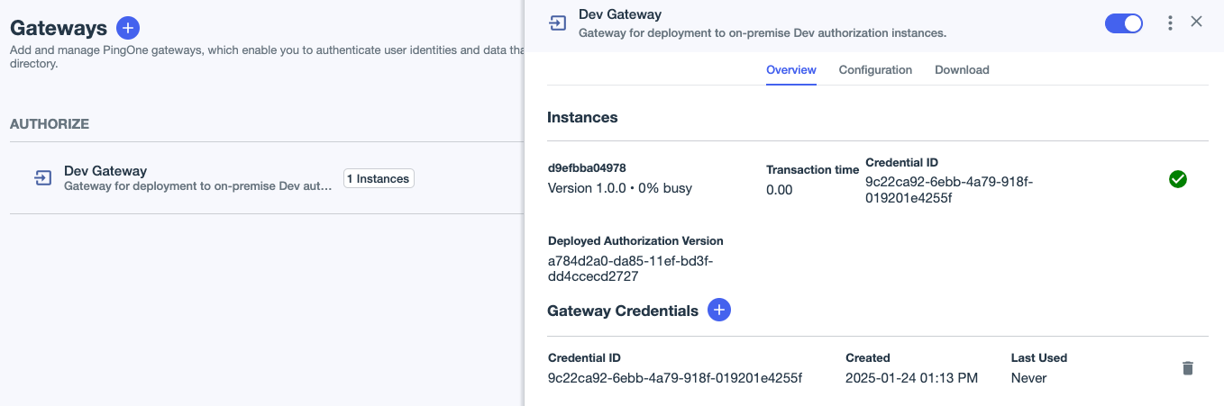 A screen capture of a connected gateway instance in PingOne.