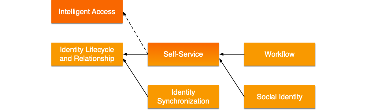 IDM module dependencies